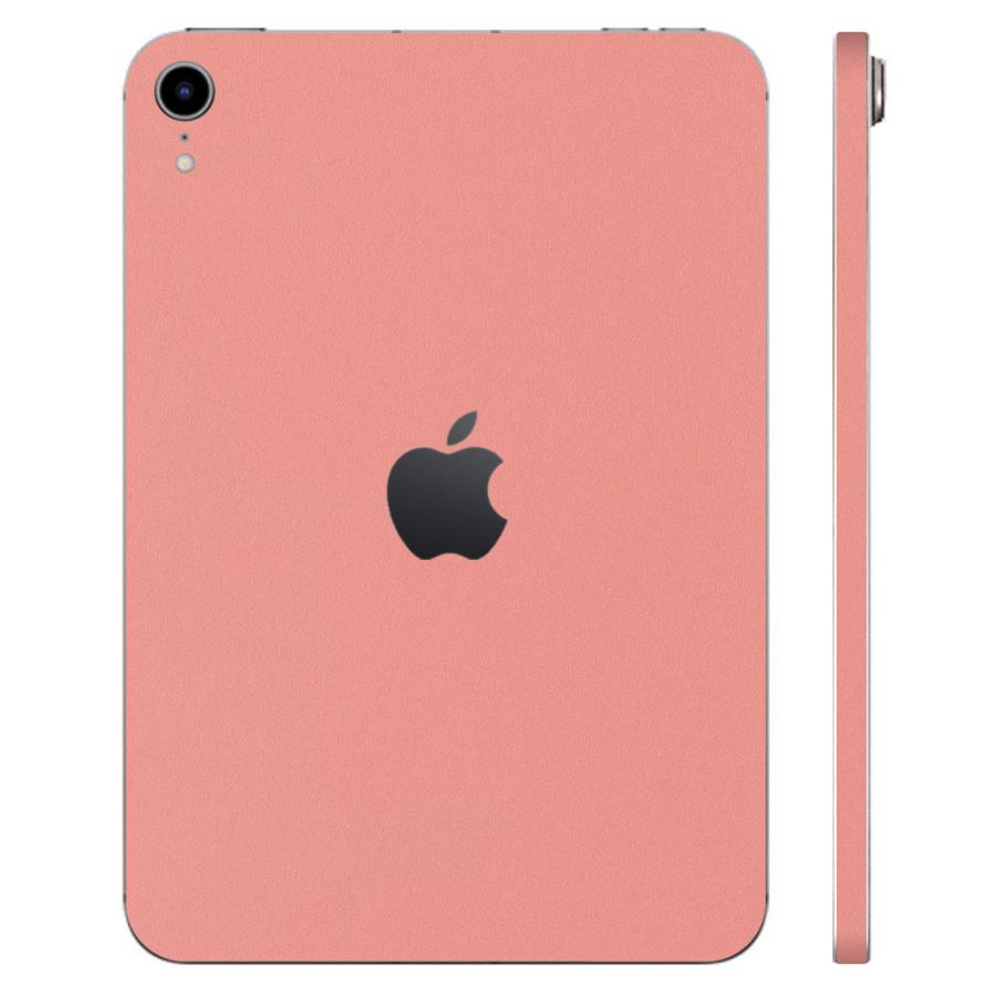 iPad mini (A17 Pro) / mini6 第6世代 スキンシール ケース カバー