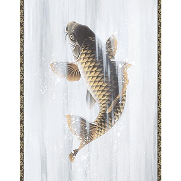 雅泉 鯉② 日本画 掛け軸 雅泉作 鯉 掛け軸 掛け軸 鯉」の人気商品一覧