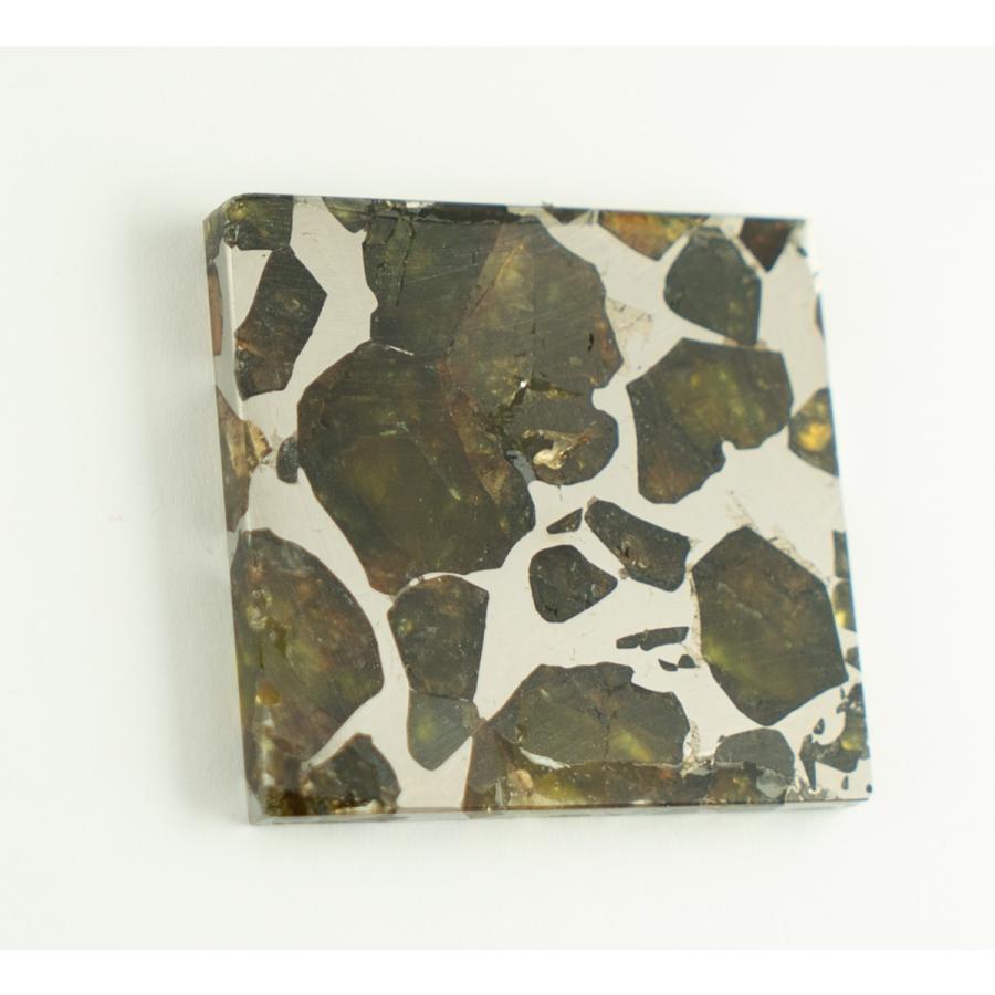 通販限定】エスケル隕石（パラサイト）石鉄隕石 Esquel 48.7g : 宇宙村