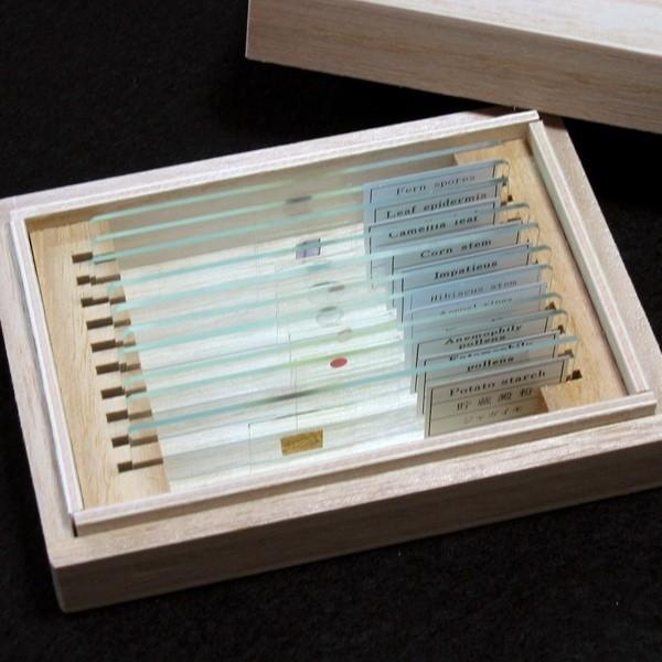 顕微鏡プレパラート 生理 30種 昭和物 【公式通販】