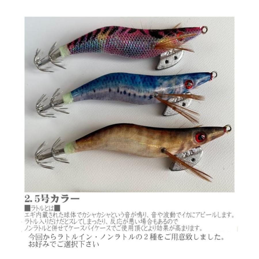 エギセット 10本入 オールケイムラコーティング ラトル入 無 エギング