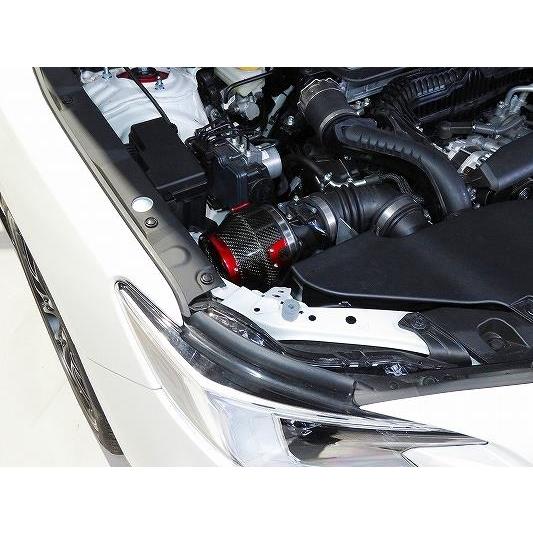 BLITZ（ブリッツ） 【BLITZ/ブリッツ】 CARBON POWER AIR CLEANER