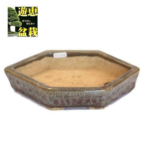 盆栽小鉢：忠寛 六角鉢 19.6cm【現】* 資材 : 遊恵盆栽 Yahoo!店