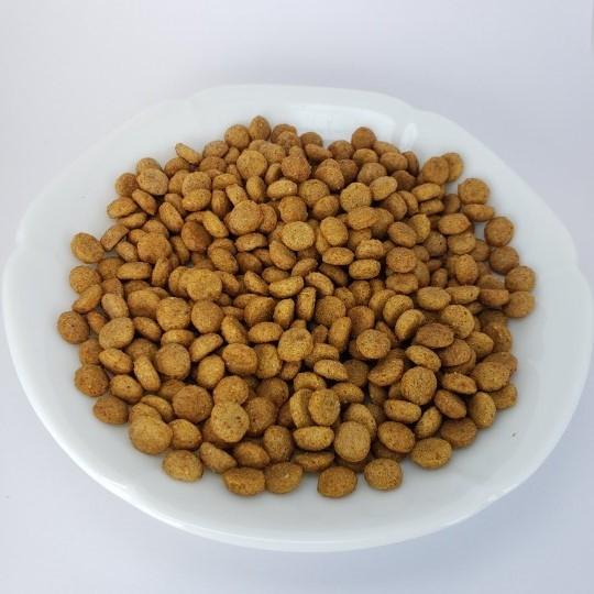 ドッグフード 国産 小粒 10kg お得 小型犬 ゼット プレミアム アダルト