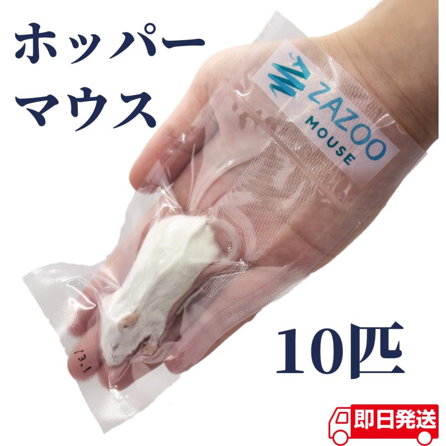 ZAZOO 国産 冷凍マウス ホッパー マウス 10〜15g 約6.5cm 真空 個別