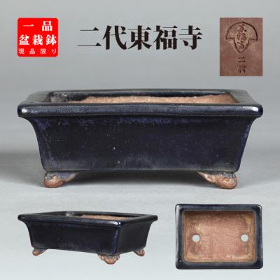 盆栽鉢 落款有り 長方 深め 盆栽 鉢 落款（鉢号数：4号以下）