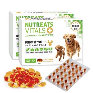 アンチノール プラス 犬 犬用 90粒 90 犬用サプリメント 送料無料 CCC
