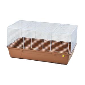 ハリネズミ飼育セットA 〜基本コース〜 』 SBSコーポレーション