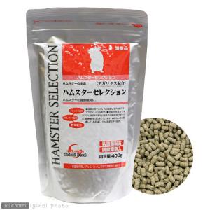 SELECTION PRO. イースター ハムスターセレクションプロ メンテナンス