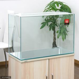 大型）GEX マリーナ900 90×45×45cm 単品 90cm