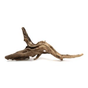 チャーム（charm） 形状お任せ 煮込み済み ハニカムウッド Lサイズ