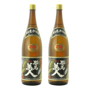 お酒 チューハイ サントリー 角ハイボール 〈濃いめ〉 500ml ケース