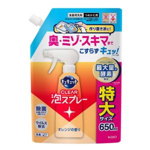 IROKA 洗たく用洗剤 500ml つめかえ用 10個 Amazon | 花王 フレア