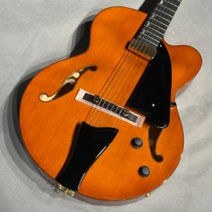 アイバニ―ズフルアコAK95―DBS―12―03ソフトケ−ス付き