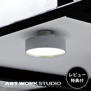 AW-0515Z-BS ARTWORKSTUDIO(アートワークスタジオ) Groove-ceiling