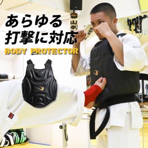 RDX 公式 チェストガード ボディプロテクター SCC-T2 リバーシブル 厚