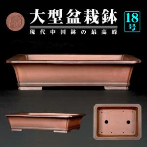 盆栽鉢 烏泥外縁隅切額面長方鉢 植木鉢 中国鉢 張氏製陶 落款あり 17号