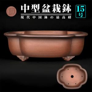 盆栽鉢 「紀伊赤絵山水図楕円鉢」 植木鉢 絵付鉢 作家鉢 磁器 共箱