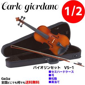 Carlo giordano VS-1 3/4 カルロ・ジョルダーノ バイオリンセット