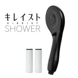 タカギ キレイストシャワーミスト メタリック本体セット : どっと