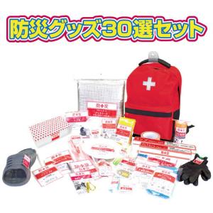 トヨタ（TOYOTA） TZ 緊急セットA 13点 車載防災セット V9TZEG001 緊急