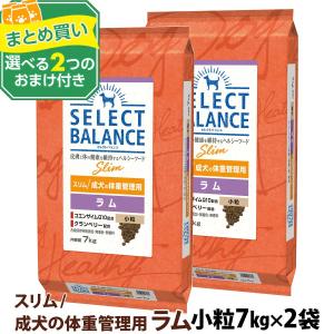 セレクトバランス スリムラム 小粒 3kg 4個 セレクトバランス パピー