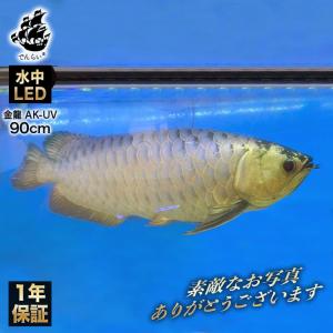 アロワナライト 吸盤4個SET メンテナンスキット Z022-4SET アロワナ 紅