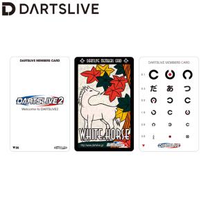 ダーツ ライブカード 20周年記念 ダーツカード KENTOO (ポスト便OK/2