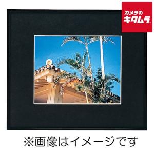 FUJIFILM（フジフイルム） お取り寄せ フジカラー 高級 おしゃれ 額縁