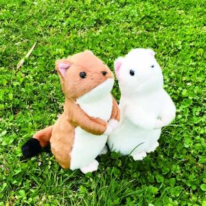 雷鳥ぬいぐるみヒナ M タイインク Ty Inc. プレゼント : エイコー