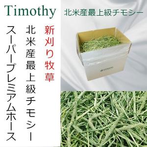 EXTOLEVEL（エクストレベル） 令和7年産 2番刈 新刈り 大容量 チモシー