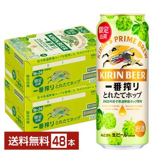 一番搾り ビール キリン 糖質ゼロ 500ml 缶 24本×2ケース（48本） 送料