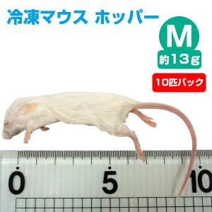 冷凍 エサ冷凍 冷凍マウス ホッパー Sサイズ 約10g 10匹パック T2