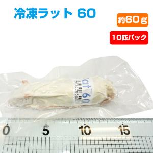 冷凍 エサ冷凍 冷凍マウス ホッパー Sサイズ 約10g 10匹パック T2