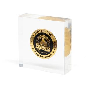 TDL Spring of 1983 Opening グランドオープン 記念メダル