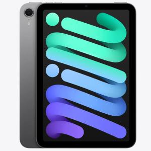 Apple iPad mini 第7世代 Wi-Fi 128GB MXN63JA スペースグレイ【お