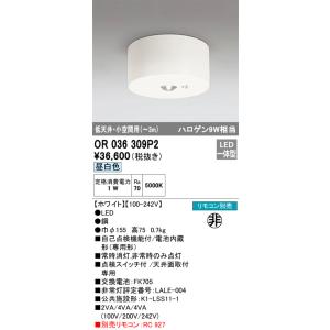 ODELIC（オーデリック） OR036307P2S LED非常灯 : でんきサロンまてり