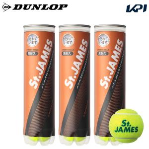 DUNLOP ダンロップ 「FORT フォート [4個入] 1缶/4球 」テニスボール