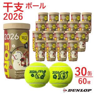 DUNLOP（ダンロップ） 『即日出荷』DUNLOP FORT フォート [2個入]1箱