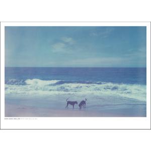 Evening Dress/ノーマン パーキンソン/アートポスター : azポスター