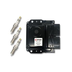 D-SPORT(ディースポーツ) スーパーインテークホースキット 品番：17113