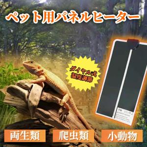 Mazuri（マズリ） トータス・ダイエット 560g 5M21−S