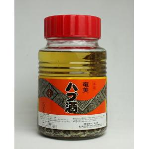 奄美大島 奄美ハブ酒本舗 奄美ハブ酒 ハブ入り 600ml 35度以上36度未満