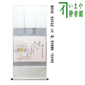 茶道具 掛軸 掛け軸 一行 白鳥入蘆花 橘宗義筆 茶道 : 茶道具いまや