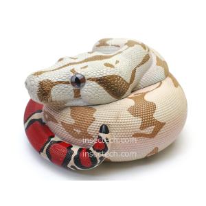 動物の惑星】バロンコダマヘビ フィギュア : インセクテック動物の惑星