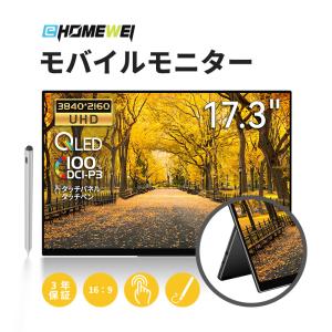 EHOMEWEI モバイルモニター EHOMEWEI RQG-170PW ゲーミングモニター 高