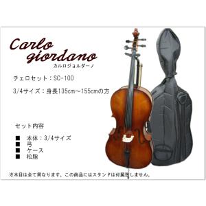 Hallstatt ハルシュタット チェロ HC-450 入門セット〔大型荷物 沖縄