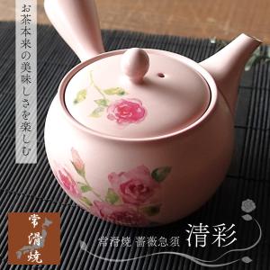 急須 常滑焼き とこなめ焼き 朱泥 帯網 帯アミ 約800ml 45号 日本製