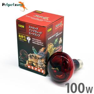 ゼンスイ ソラリウム メタルハライドランプ 35Wセット (HIDランプ＋