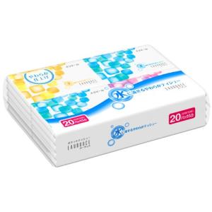 エリエール 水に流せるポケットティシュー オーデュス ( 10組*16コ入*3